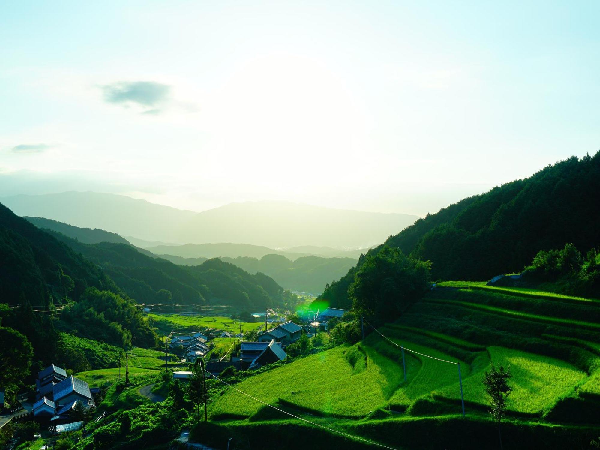 Grand Mercure Nara Kashihara كاشيهارا المظهر الخارجي الصورة
