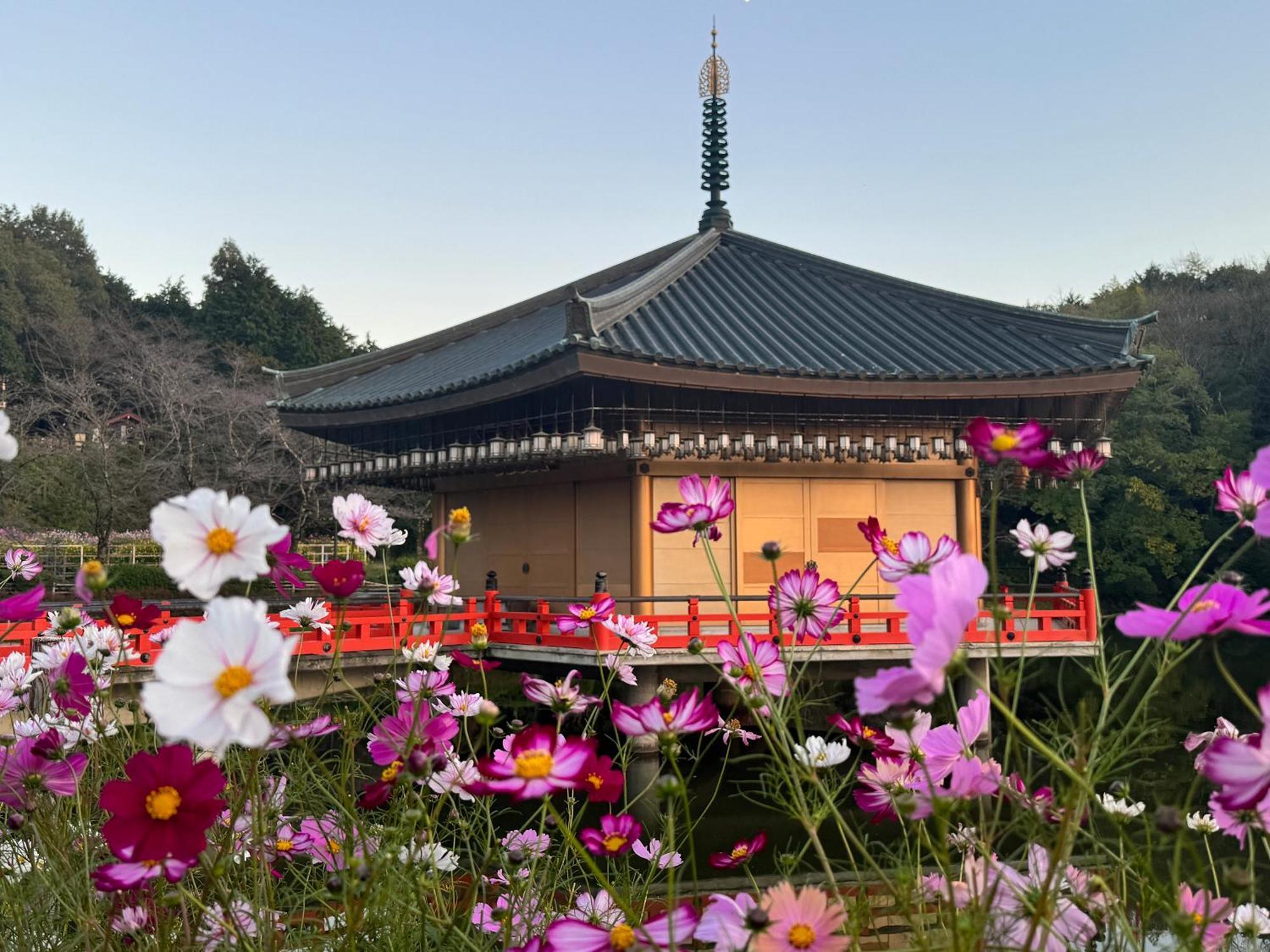 Grand Mercure Nara Kashihara كاشيهارا المظهر الخارجي الصورة