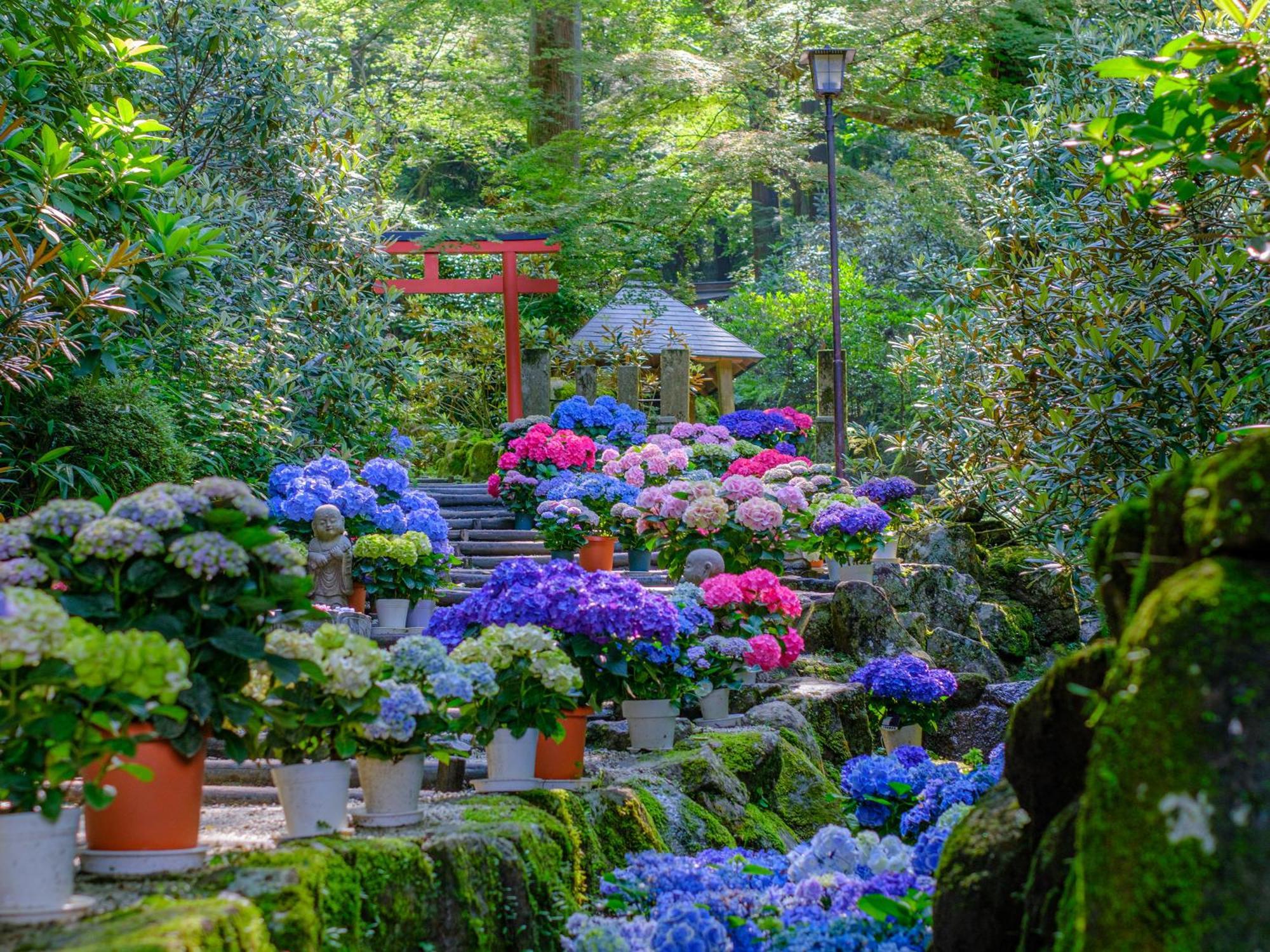 Grand Mercure Nara Kashihara كاشيهارا المظهر الخارجي الصورة