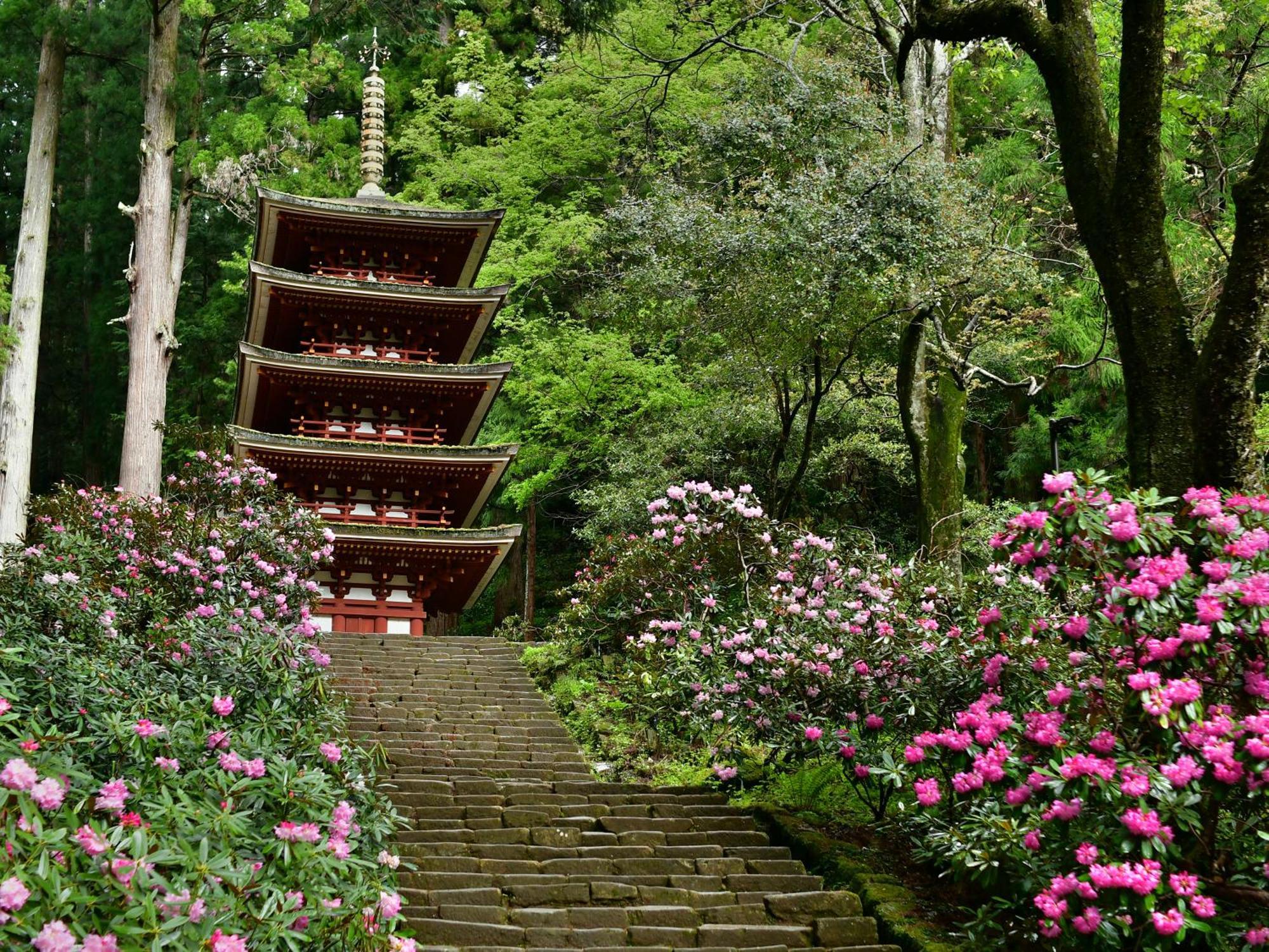 Grand Mercure Nara Kashihara كاشيهارا المظهر الخارجي الصورة